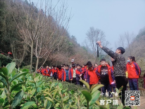 aab338edcdf8a709c1e819160828039_副本