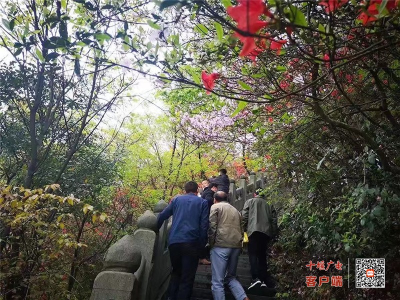 微信图片_20230228104855