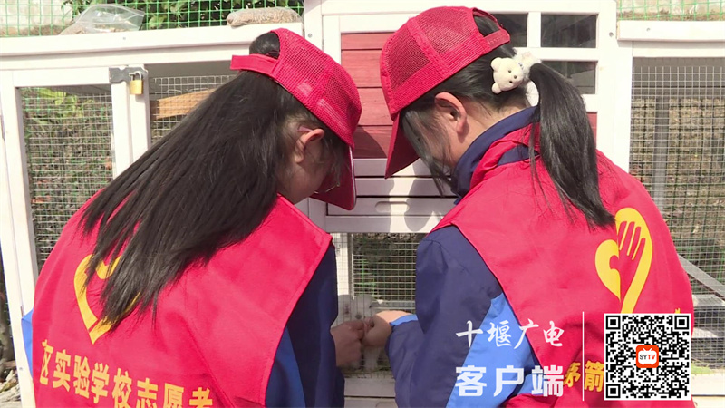 茅箭区实验学校开展“学雷锋志愿服务”文明实践活动[00-00-09][20230303-190035881]