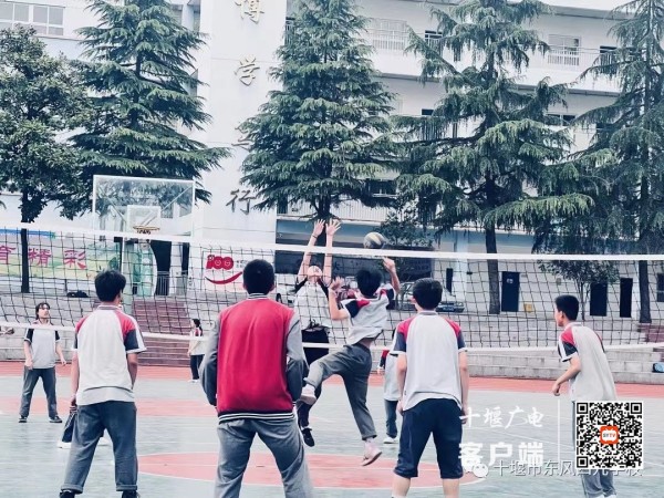 29e1f6dfcc82d1a0b1202642f189203_副本