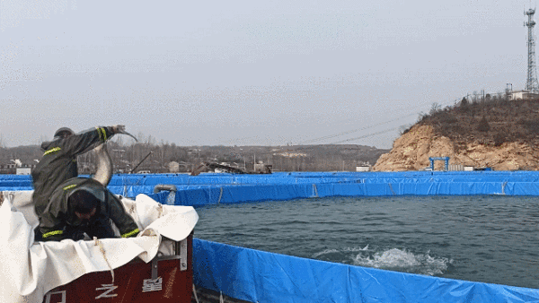 漢江鱘魚谷：一期魚苗投放月底完成  二期年底投產2023341641241
