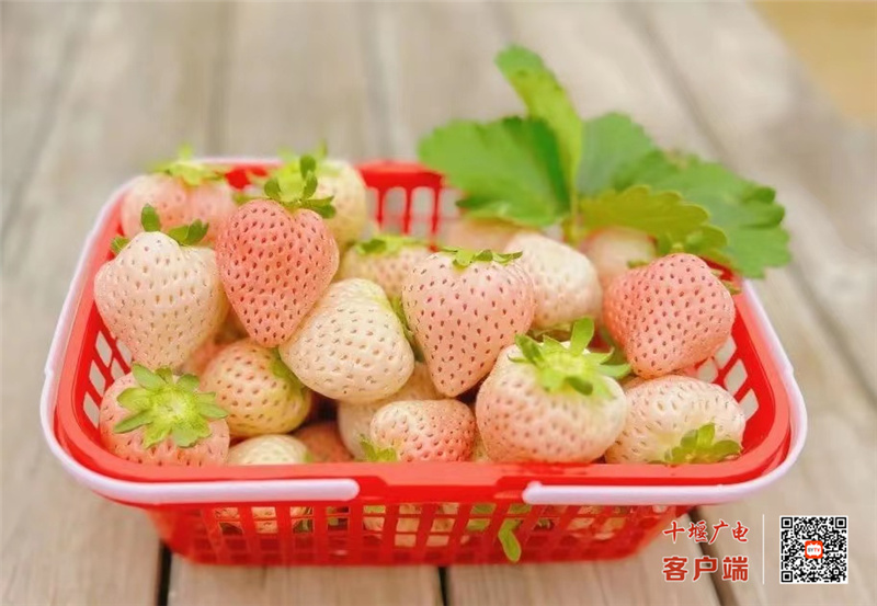 微信图片_20230305184316