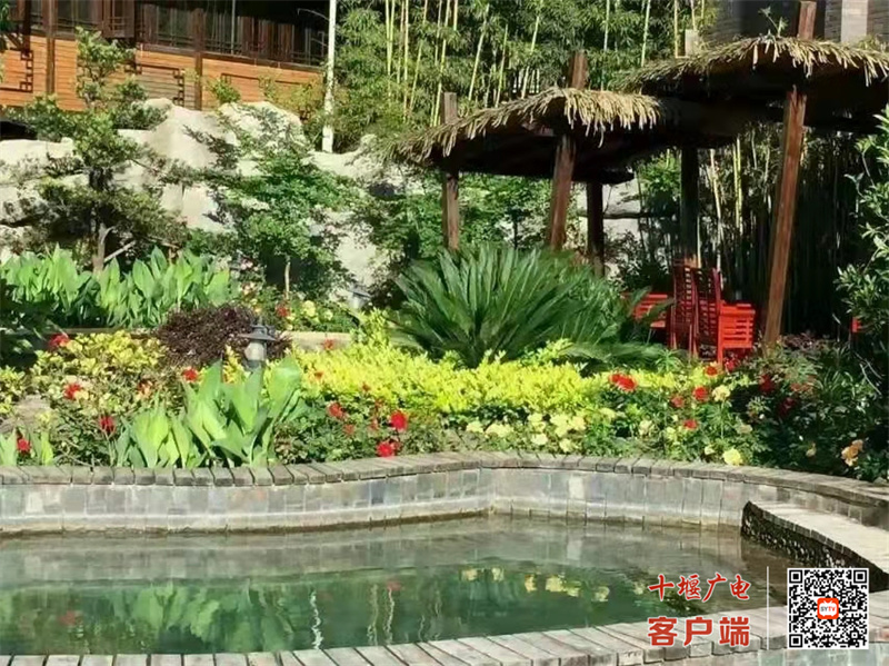 温泉新