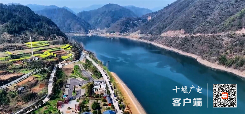 QQ截图20230306154611