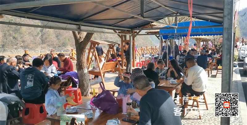 QQ截图20230306154648