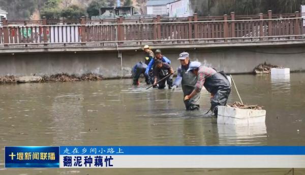 QQ截图20230306195927