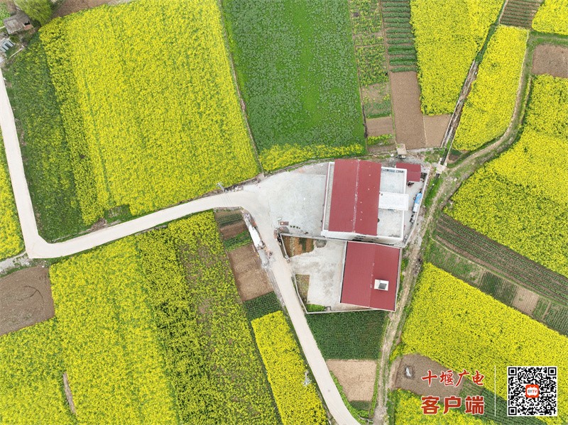 房1