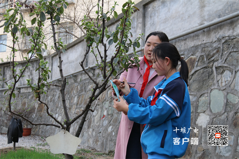 微信图片_20230310185012_副本
