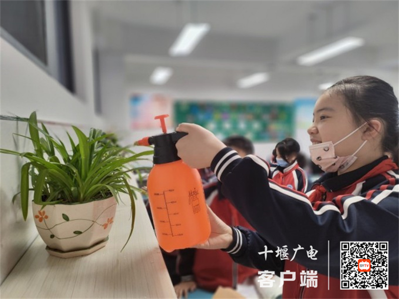 细心浇水