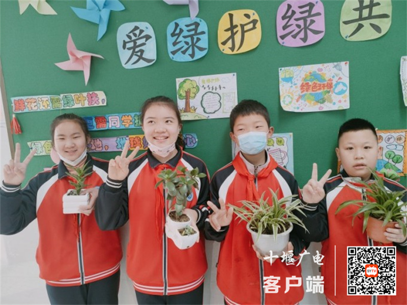 学生们开心的带来花草装点教室