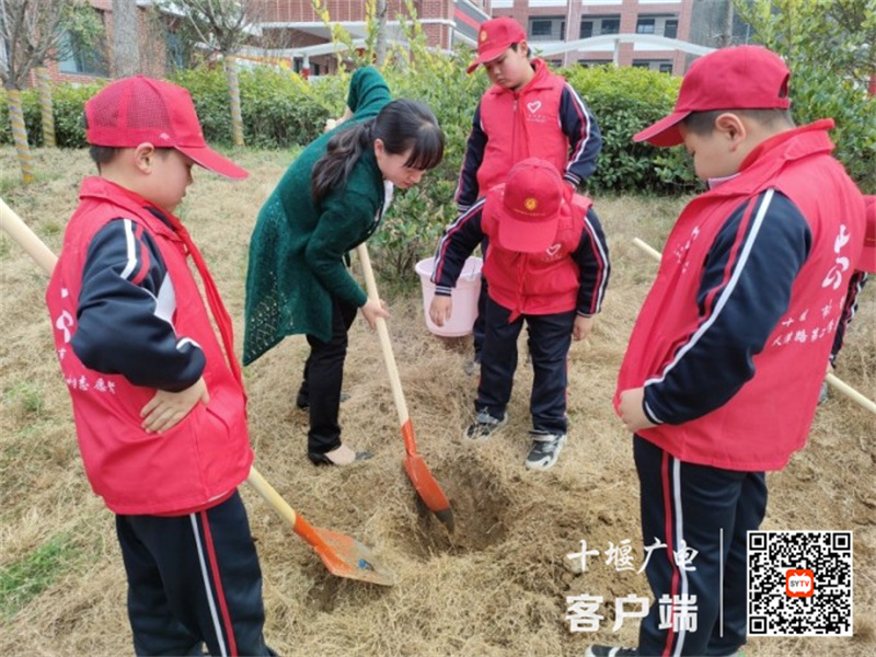 户外植树