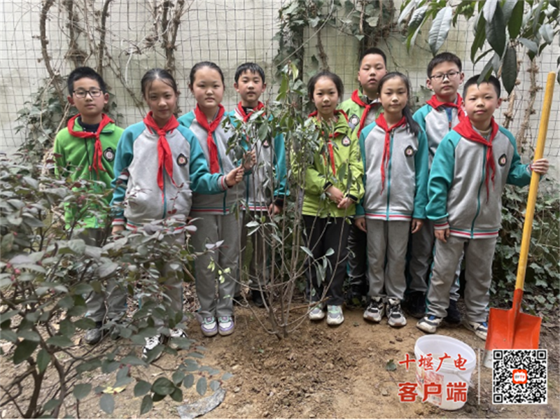 微信图片_20230311213933