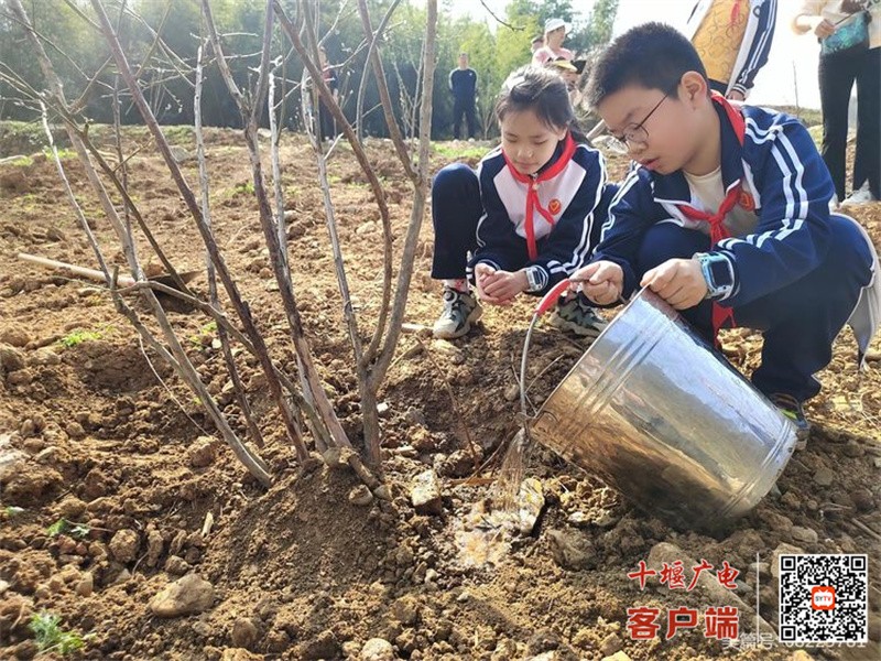 微信图片_20230313133209