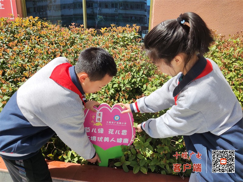 2023年3月13日十堰市广东路小学少先队员开展植树节绿化活动。 (6)