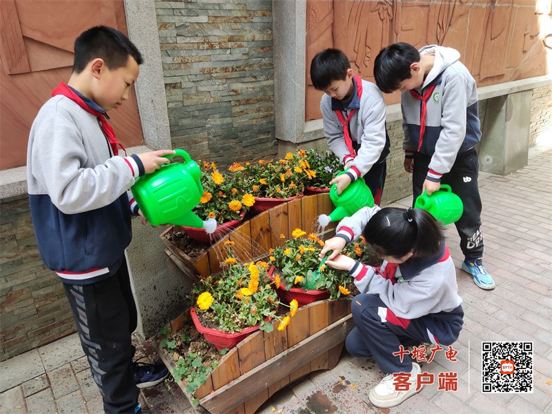 2023年3月13日十堰市广东路小学少先队员开展植树节绿化活动。 (9)