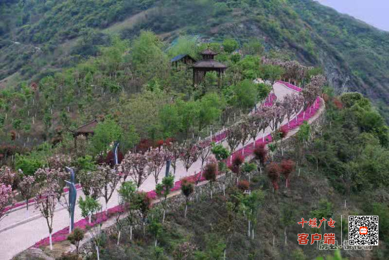 樱花岛8_副本