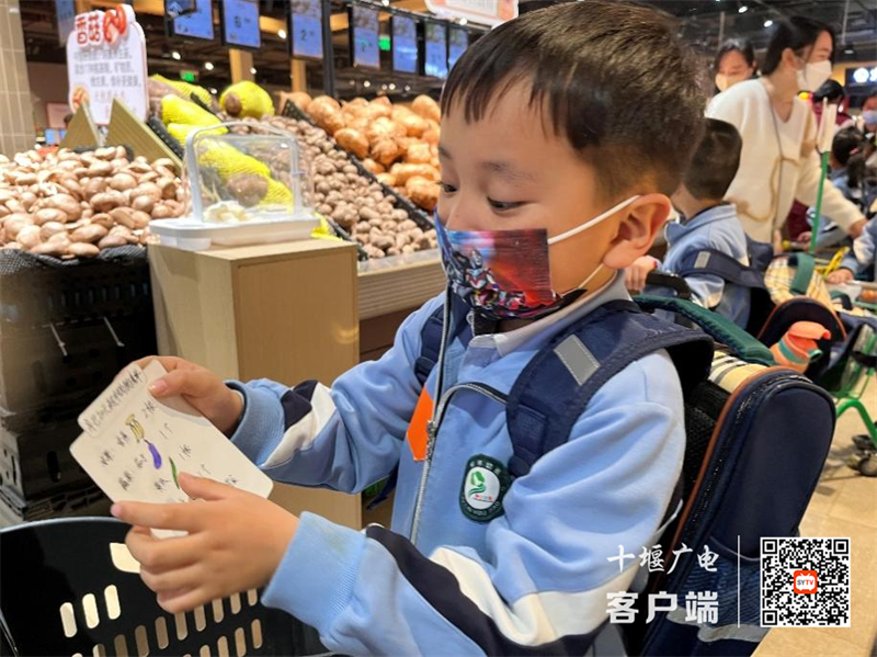 图片 4