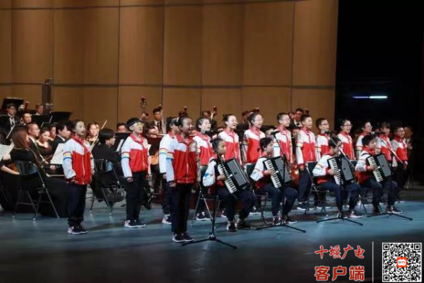 图片8