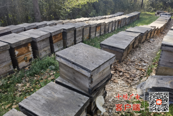 360截图20230316175533186_副本