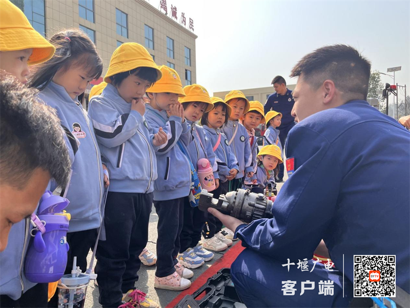 图片1
