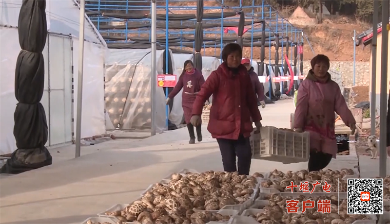 QQ图片20230320183820