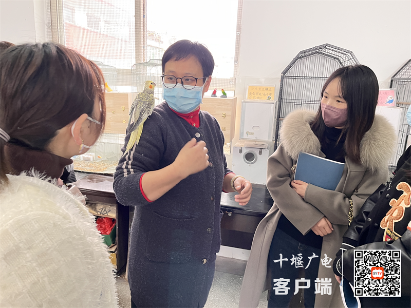 参观鹦鹉乐园