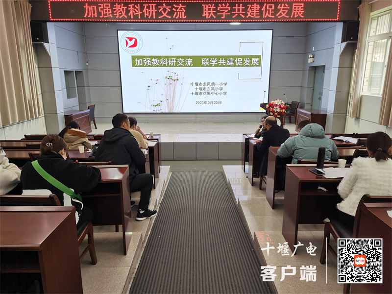 教育教学交流2