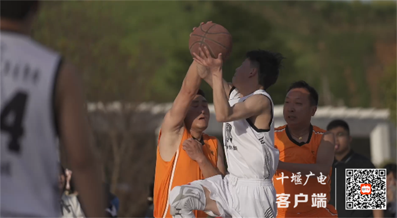 QQ截图20230329095520