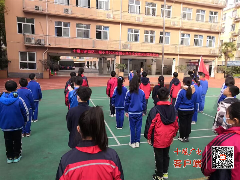 QQ图片20230327102518