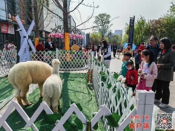 微信图片_20230401121959