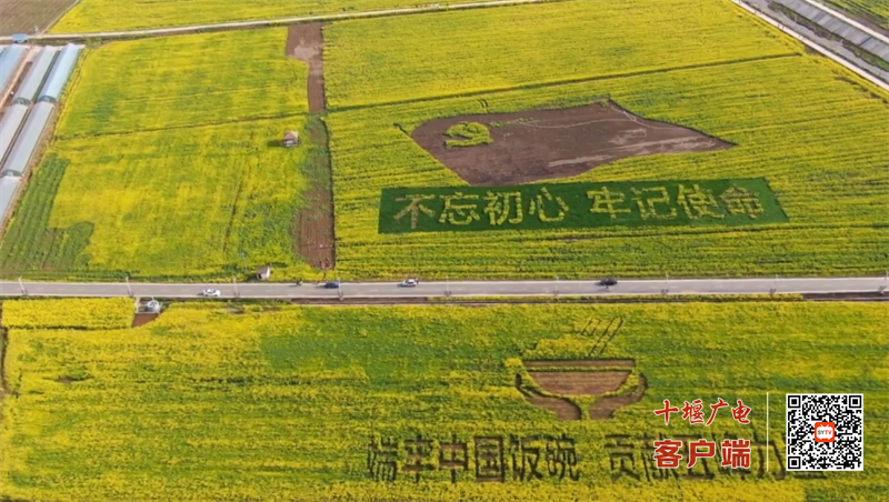QQ图片20230401161054