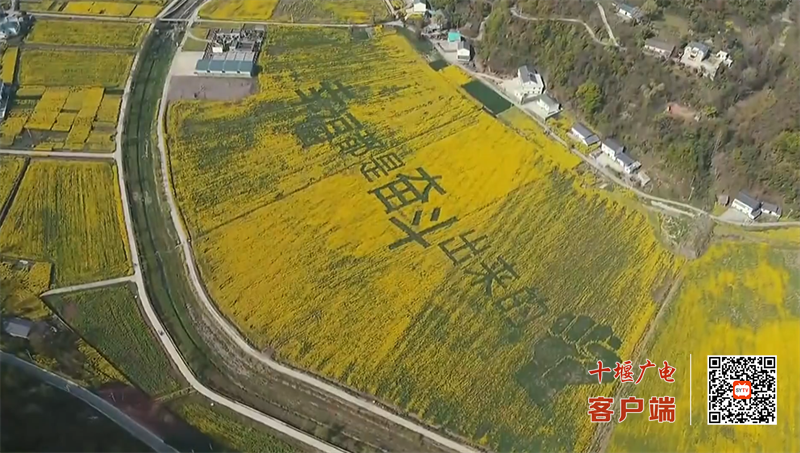 QQ图片20230401161137