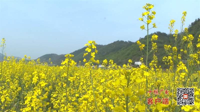 QQ图片20230401161407
