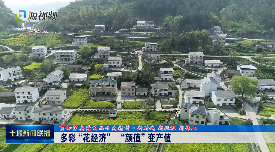 QQ图片20230401195159