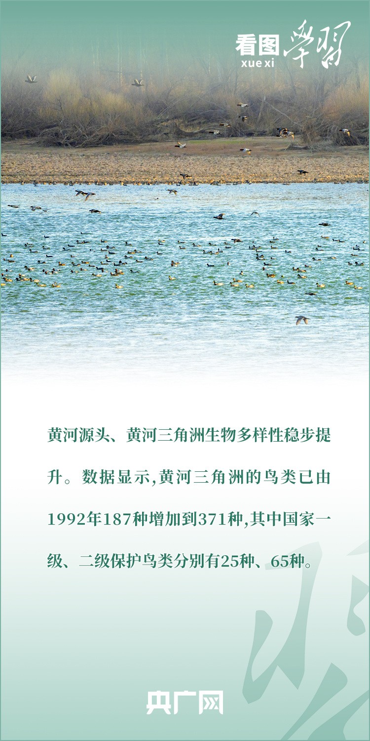 1b500bd3113ec168017860774131470910