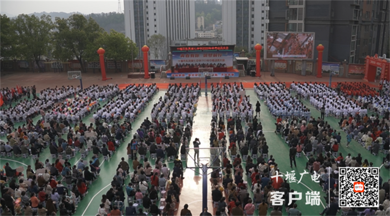 QQ截图20230403122959