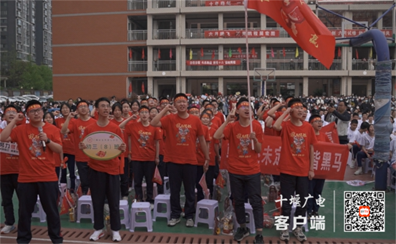 QQ截图20230403123119