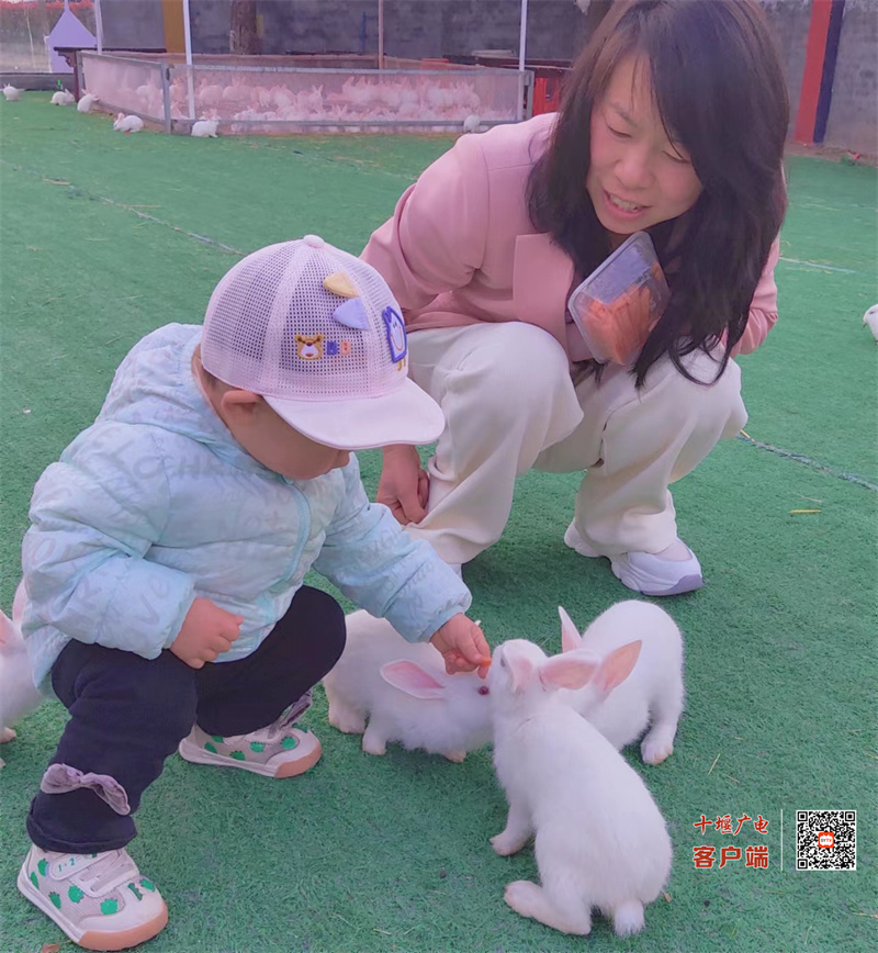 微信图片_20230403160522