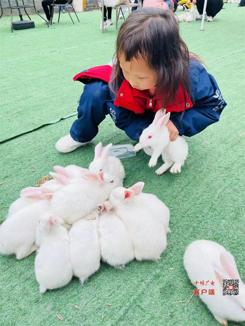 微信图片_20230403160518