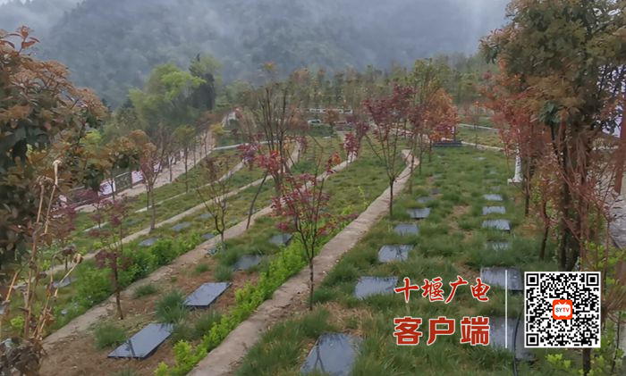10_副本