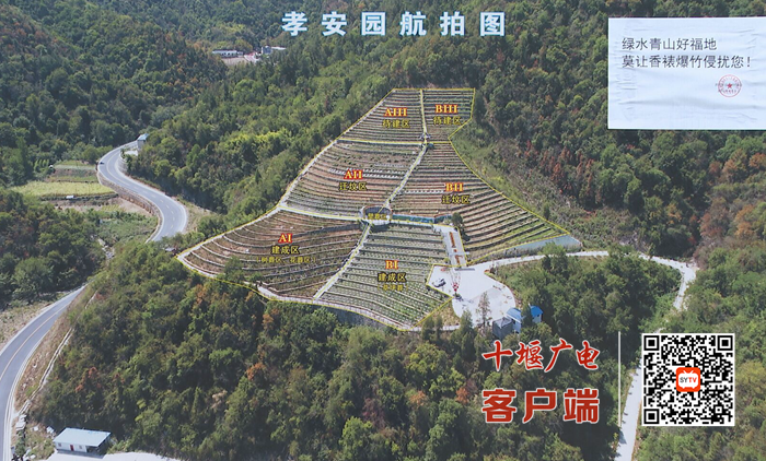 12_副本