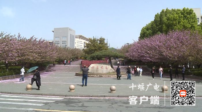13_副本