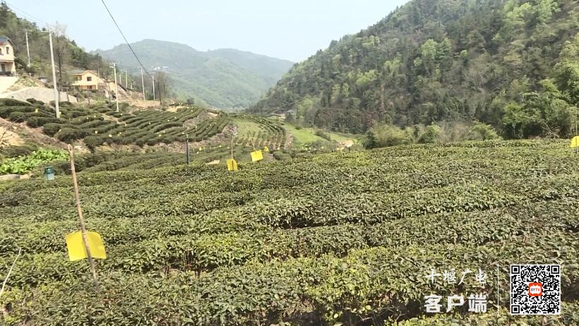 QQ截图20230406184654