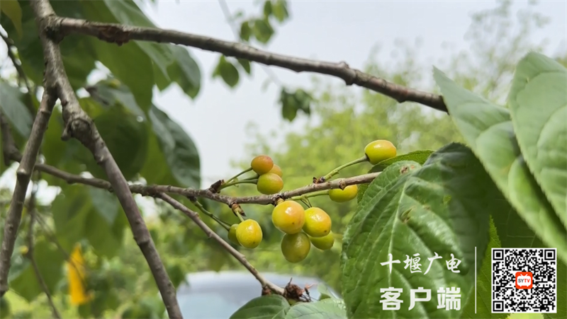 QQ图片20230407160356_副本