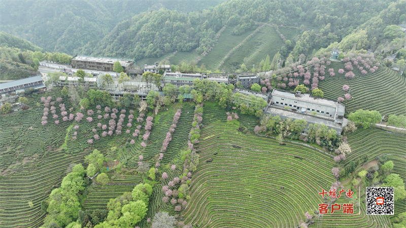 微信图片_20230410145819
