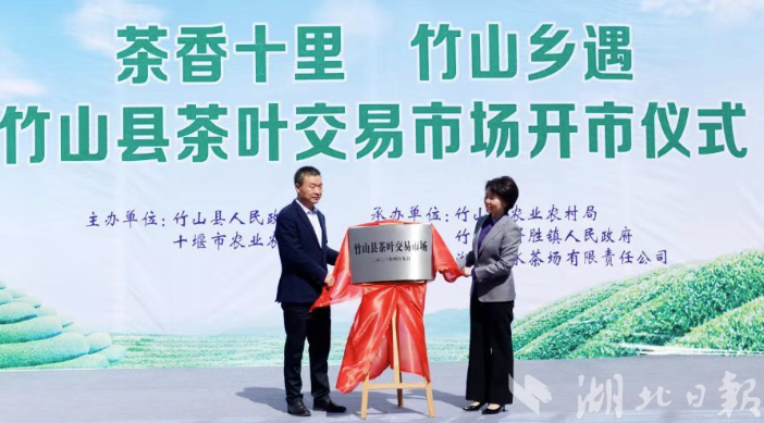 QQ图片20230411094040
