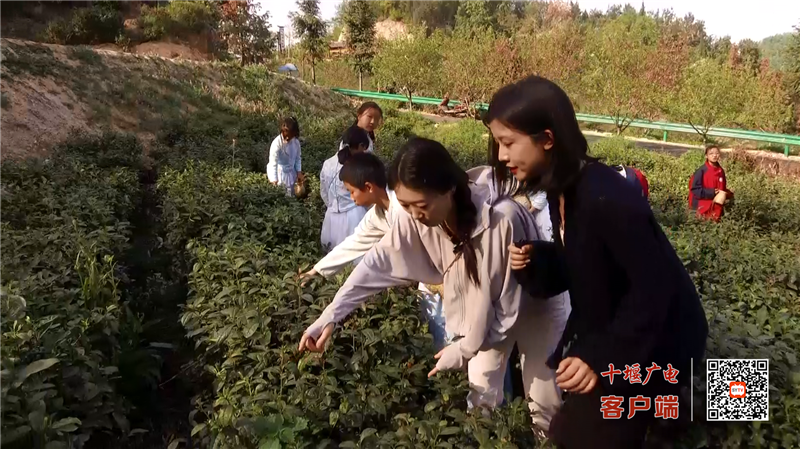 微信图片_20230411172224
