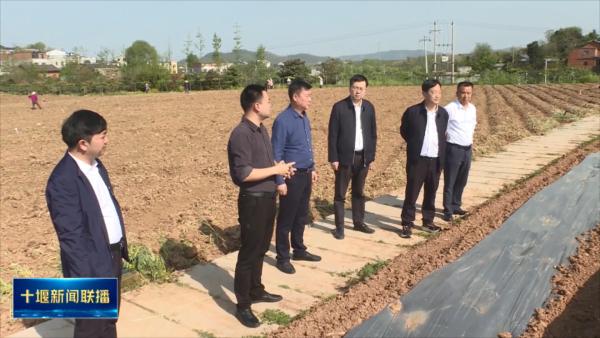 院士专家分赴各地调研指导.mp4_20230411_195139515