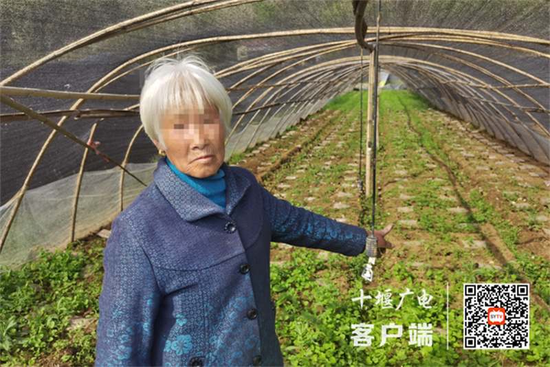 微信截图_20230412094754