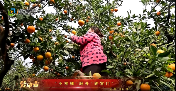QQ截图20230412153923